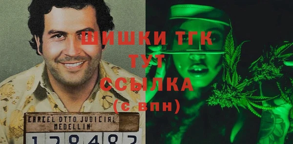 тгк Осинники