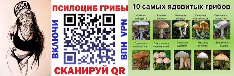 Галлюциногенные грибы Psilocybe  Артёмовский 